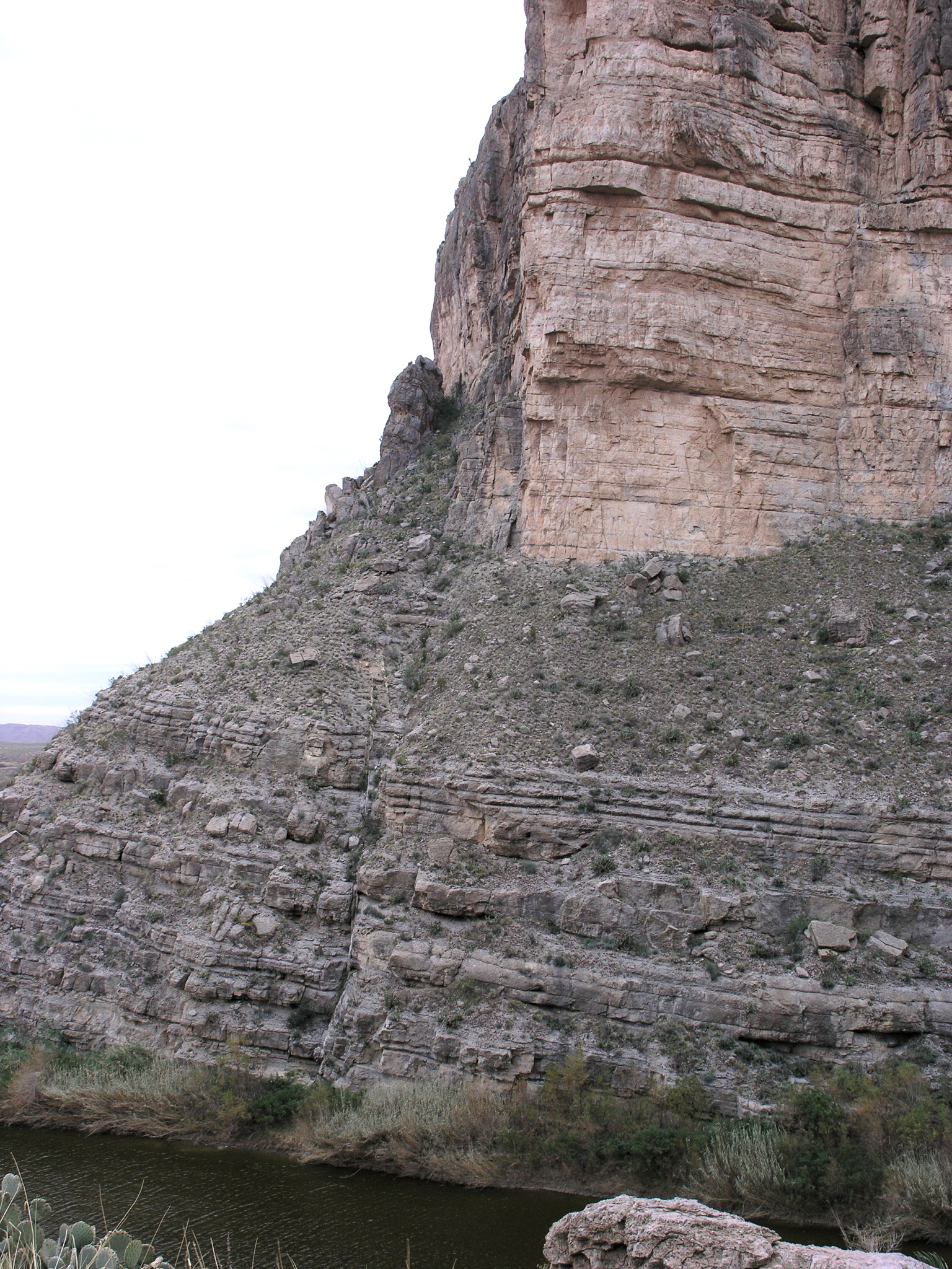P1122314.JPG