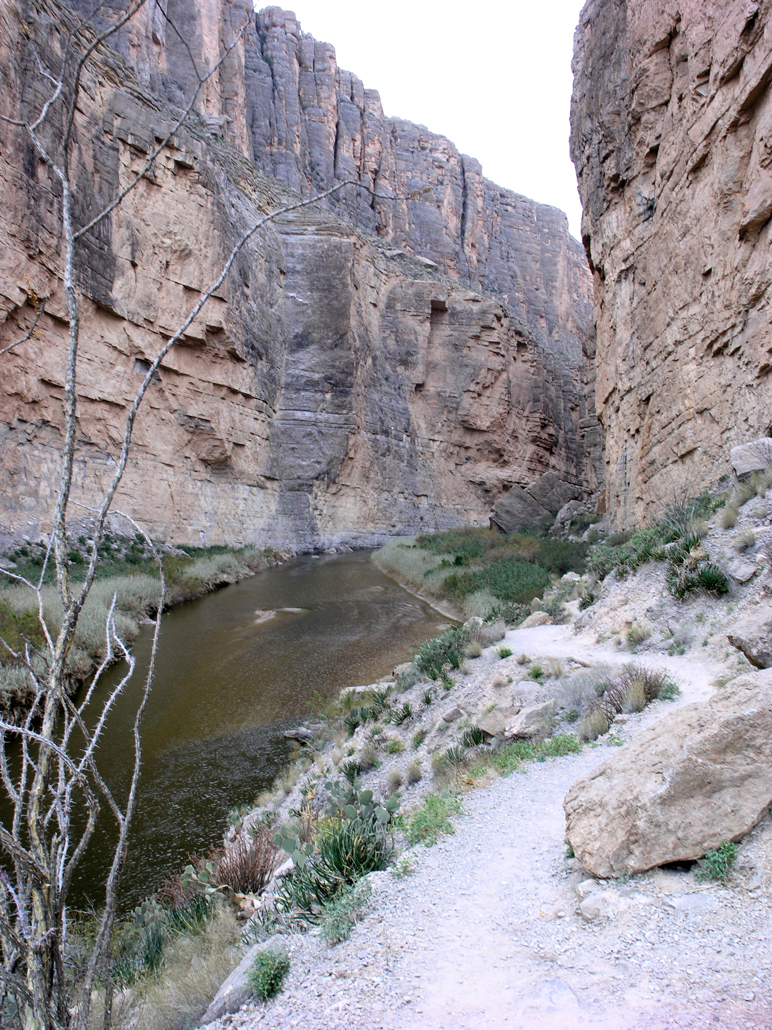 P1122315.JPG