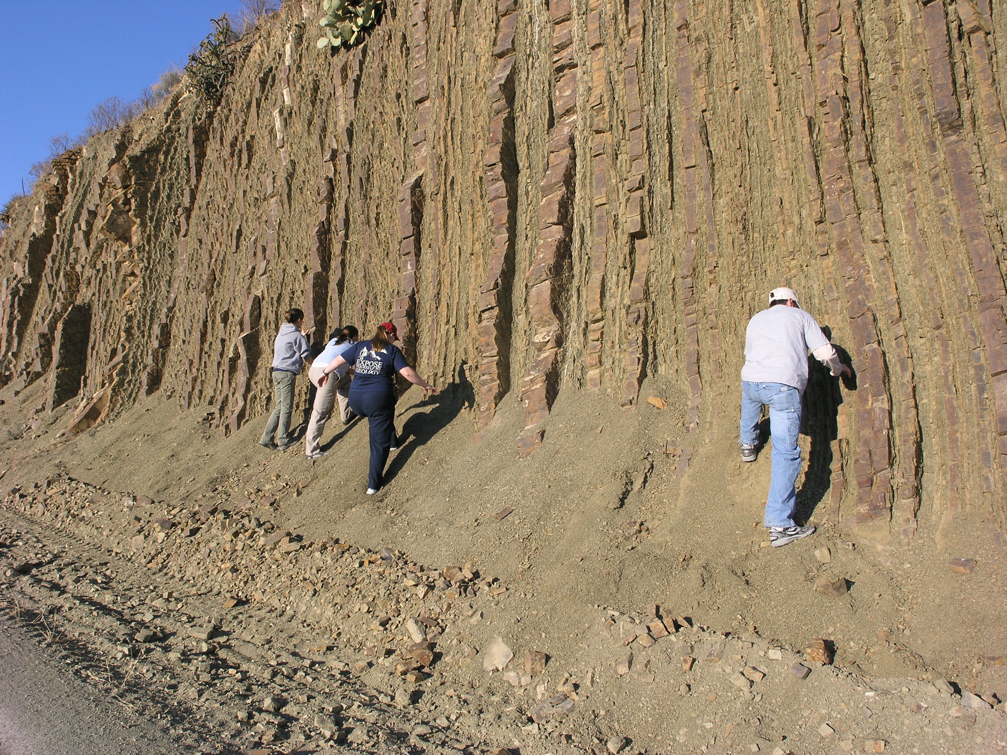 P1102162.JPG