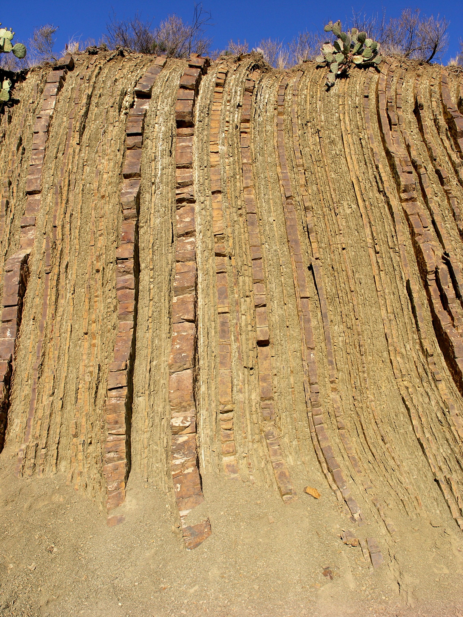 P1102164.JPG