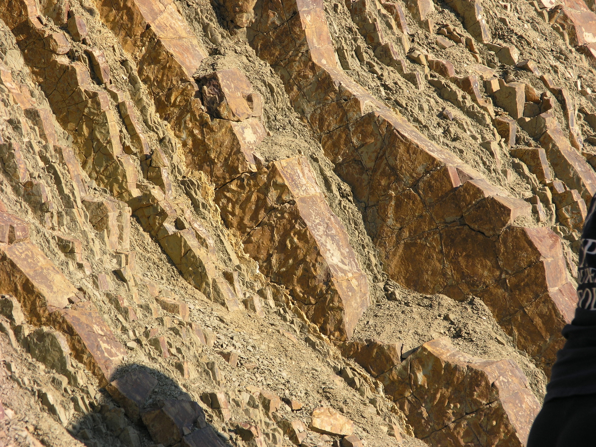 P1102165.JPG