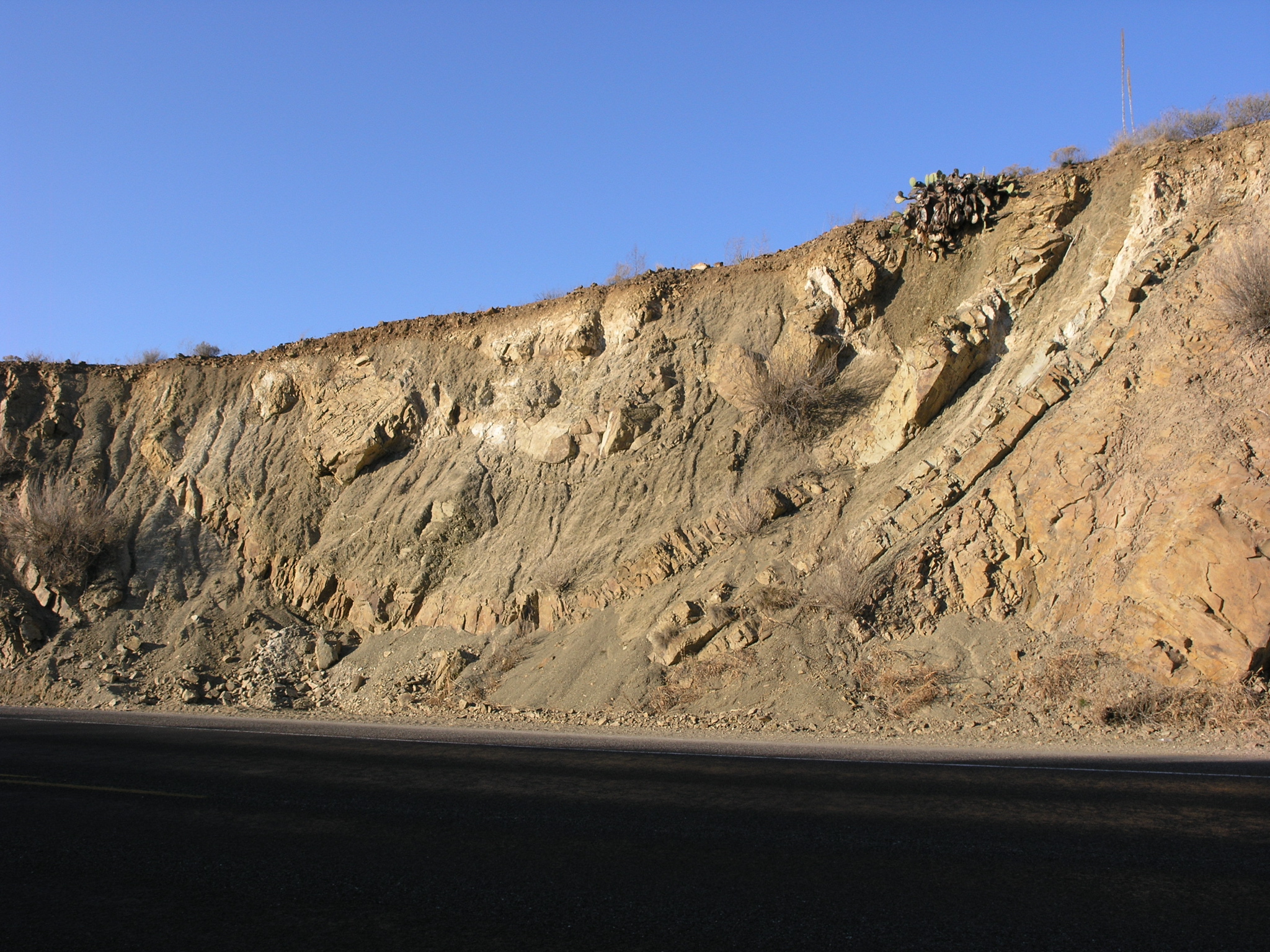 P1102166.JPG