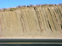 P1102156.JPG