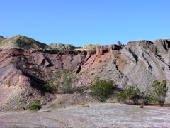 P1122333.JPG