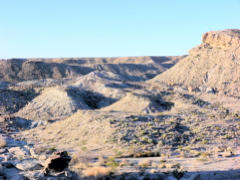 P1132342.JPG
