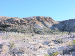 P1132343.JPG
