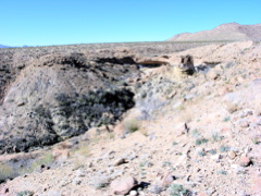 P1132384.JPG