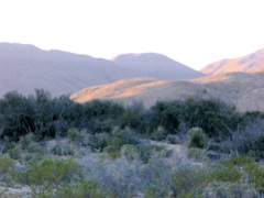 P1132410.JPG