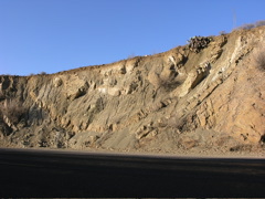 P1102166.JPG