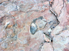 P1112242.JPG