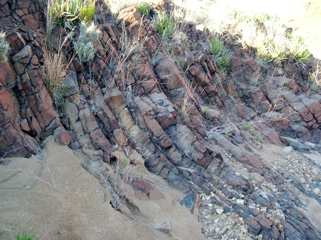 DSCN1432.JPG