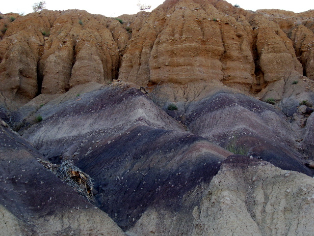 DSCN1449.JPG