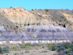 DSCN1451.JPG