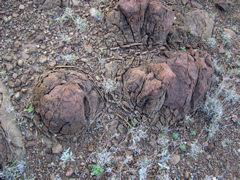 DSCN1457.JPG