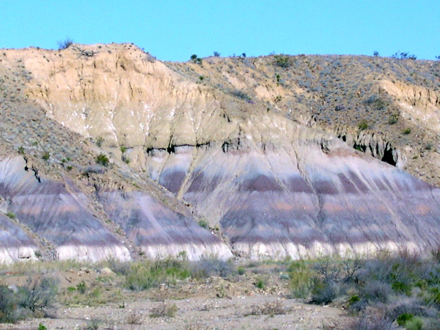 DSCN1451.JPG