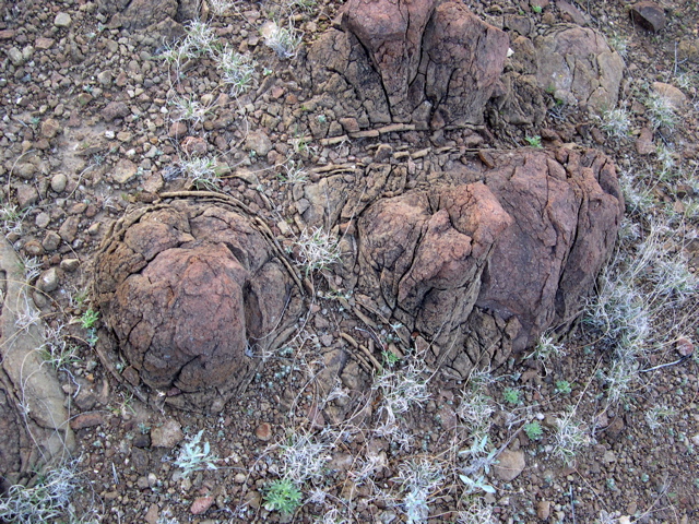 DSCN1457.JPG