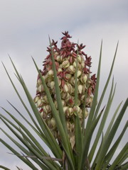 DSCN1343.JPG