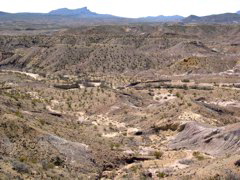 DSCN1414.JPG