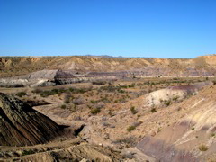 DSCN1447.JPG