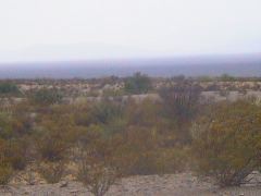 AUT_0471.JPG